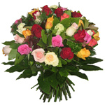 Flowers: 60 Mixed Coloured Roses