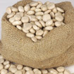 Termos (Dried Lupine)