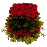 Flowers: Heart to Heart