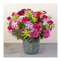 Flowers: Bright blooms Flowers: Bright blooms