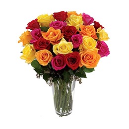 Flowers: Rose Mix in a Vase