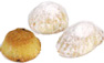 Lebanese Maamoul