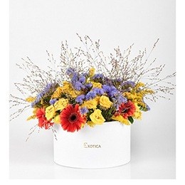   Arrangement of Flowers:      Sweet Spring 