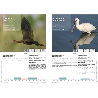 Book: Wetland Birds of Lebanon, by Jaradi, Itani