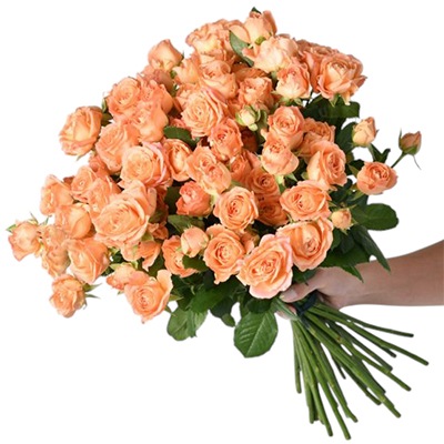    Flowers:  Blooms of Youth