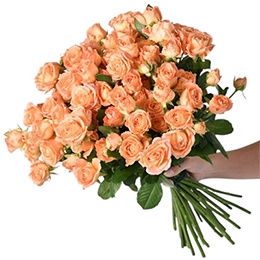    Flowers:  Blooms of Youth