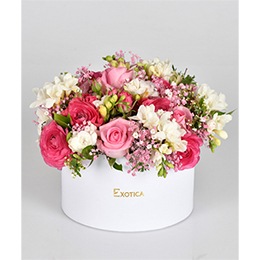   Arrangement of Flowers:      Lollipop