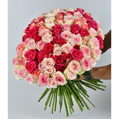  Flowers: 100 Mixed Roses (Only Roses)