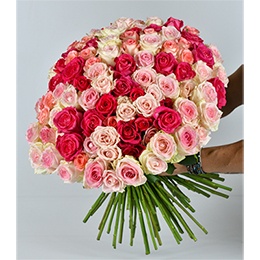  Flowers: 100 Mixed Roses (Only Roses)