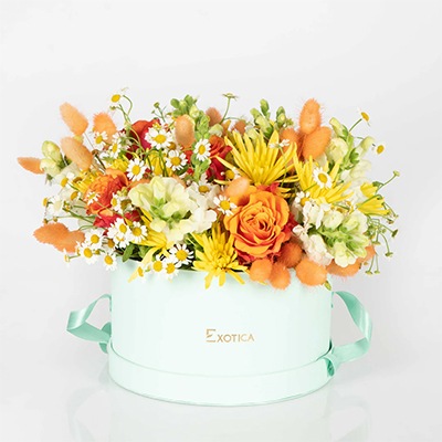   Arrangement of Flowers: Springtime Muse