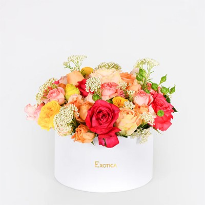    Flowers:    Happy Moments
