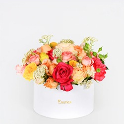    Flowers:    Happy Moments