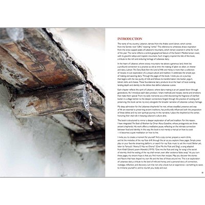 Book: Lubnan, by Barbara Massaad, 2025