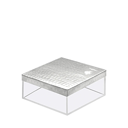 Square Box: Phoenician, Aluminium & Plexiglas