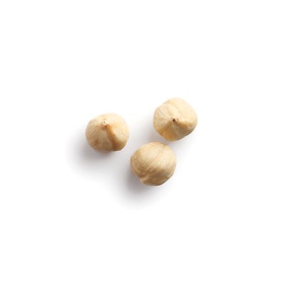 Bendok (Roasted Hazelnuts), Castania - بندق