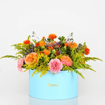   Arrangement of Flowers:   Rainbow Feels