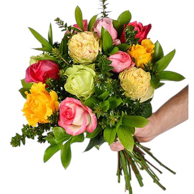 Flowers:  12 Mixed Roses (Rose Surprise)