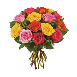 Flowers:  12 Mixed Roses (Rose Surprise)